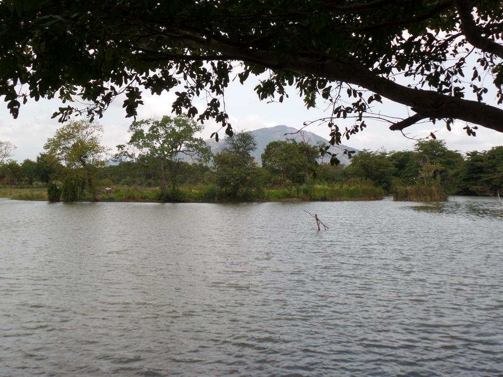 Mps Village Dambulla Exterior photo