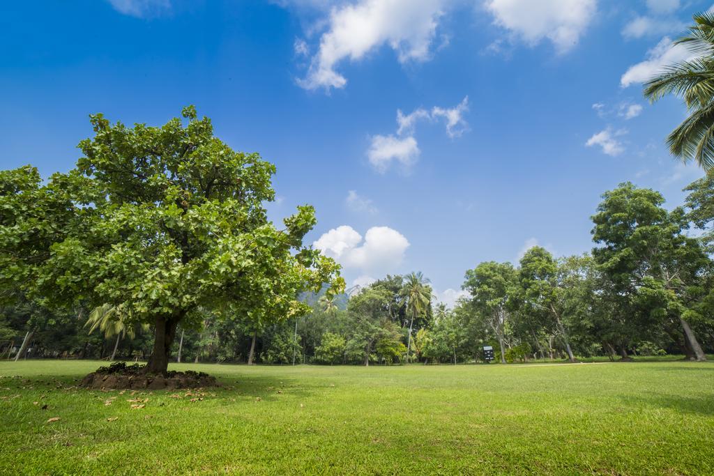 Mps Village Dambulla Exterior photo